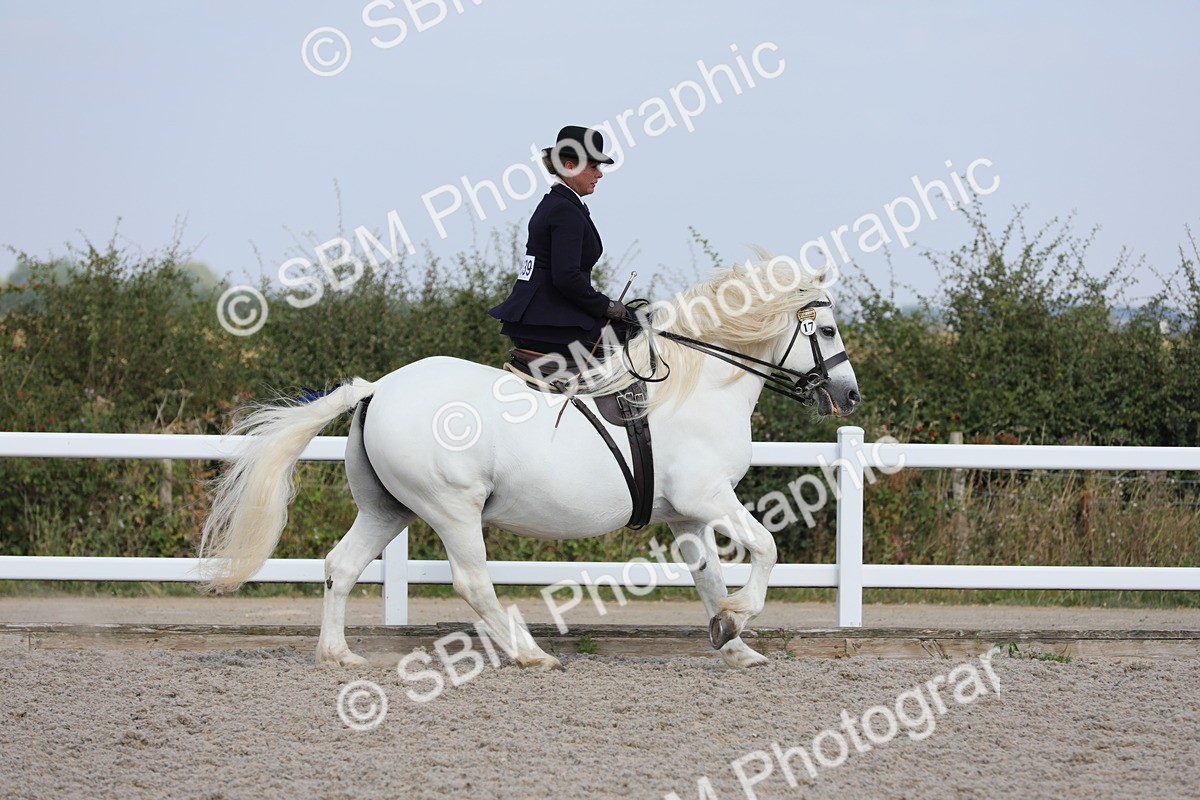 SBM_14517 - Class 211 Best Side Saddle Horse/Pony