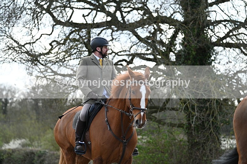 WJ7_9898 - Walk Home