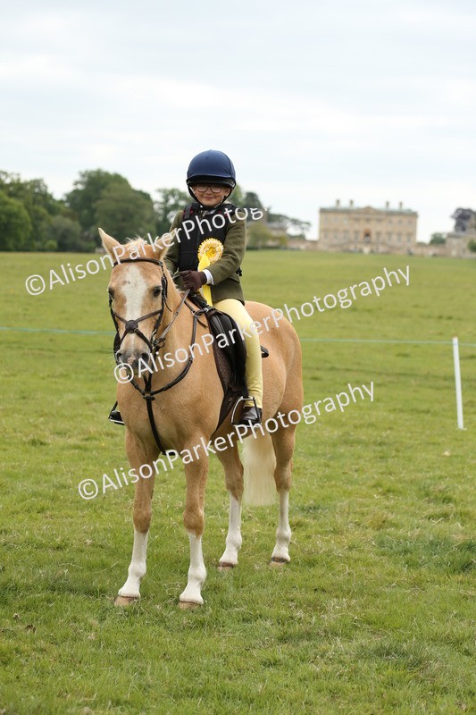 20250517-1219 - Class 21 - Novice Working Hunter