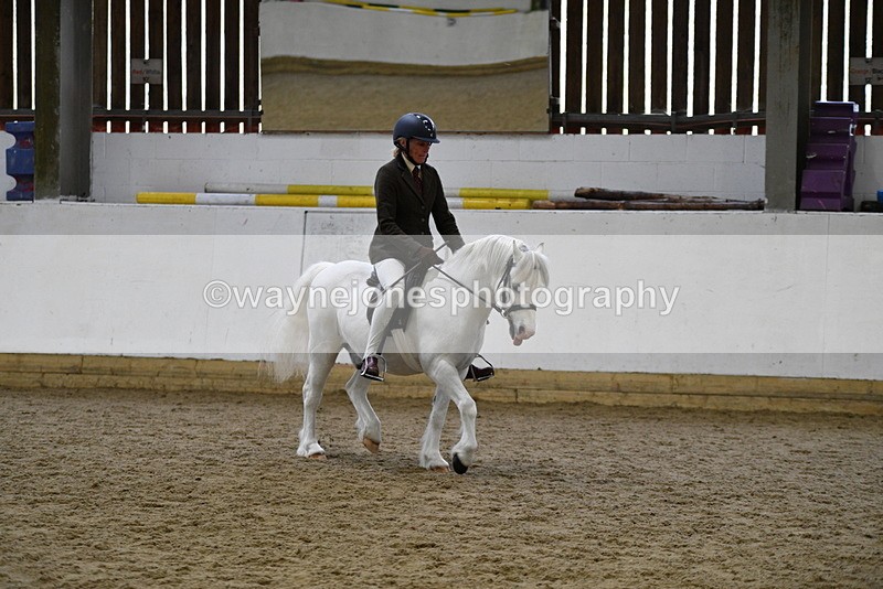 WJ5_6261 - Class 9 Ridden Veteran