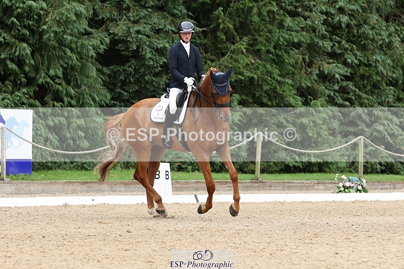 240810-155816-04129 - 208-Tom.Carter-Rubin.Regal