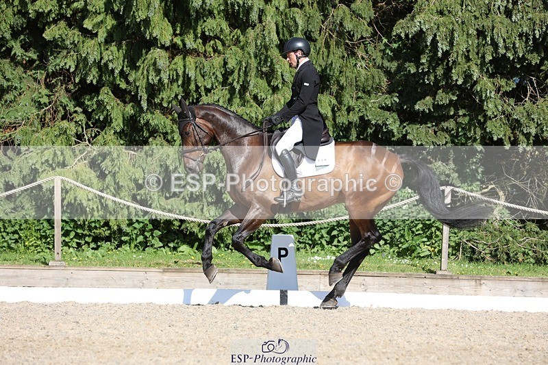 230526-170109-07890 - 174-LANCELOT_BMG-Alfie_Marshall-WEDTrotUp+DR