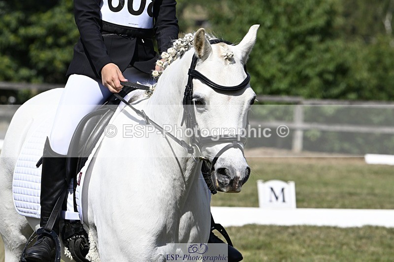 250822A-110939-20623 - DR 10.00 to 11.00