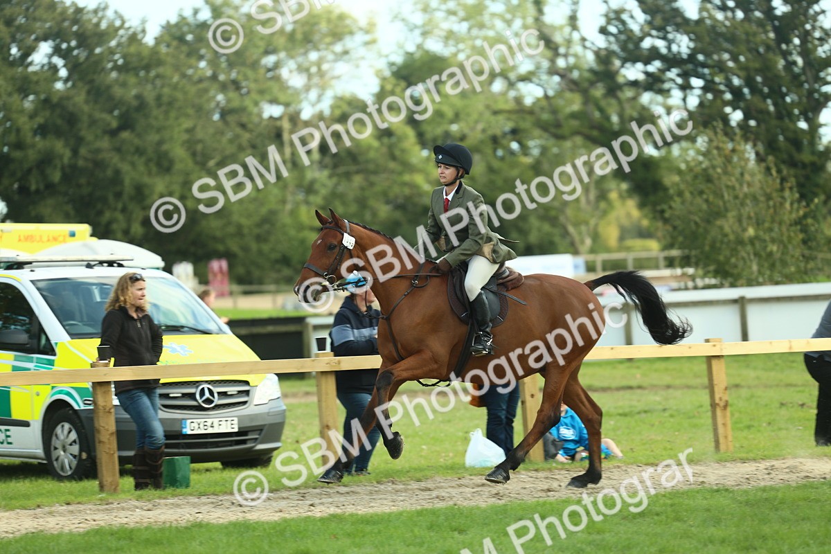 SBM_50703 - S33 - Working Hunter & Working Show Horse