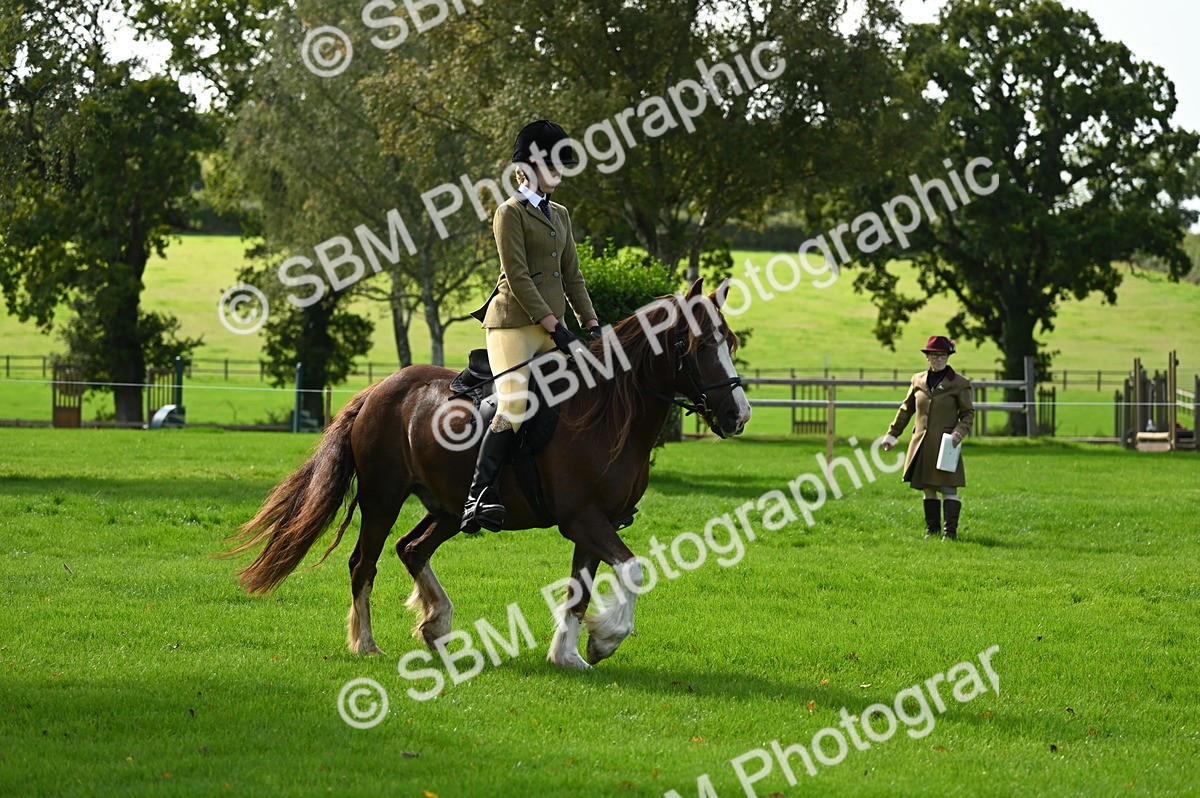 SBM_02689 - S3 - TSR Ridden Pony Showing