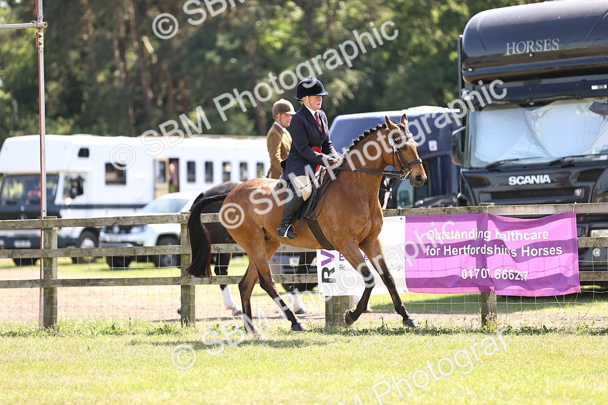 SBM_18097 - Class 81-83 - TSR Ridden Amateur of the Year - Horses