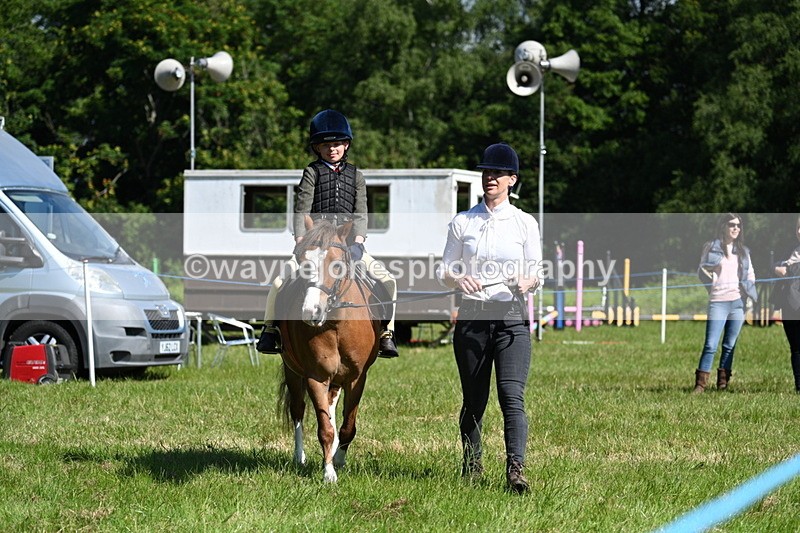 WJ7_0733 - Class 8 First Rally Pony