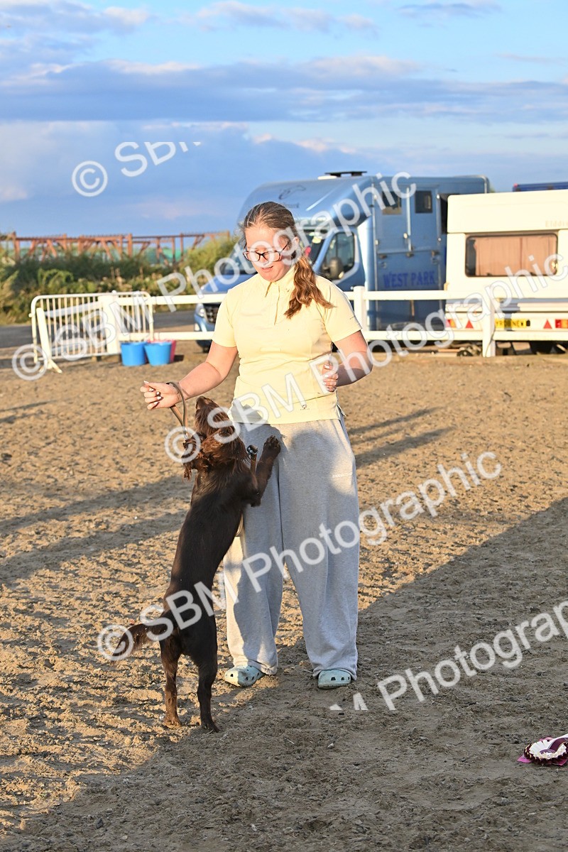 SBM_09700 - Lorry Dogs