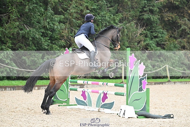 250215A-140334-01290 - Cls 1 British Novice and 90cm Open