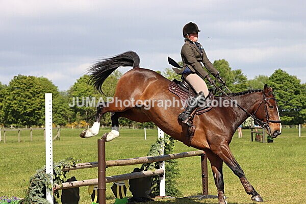 IMG_4801 - Working Hunter
