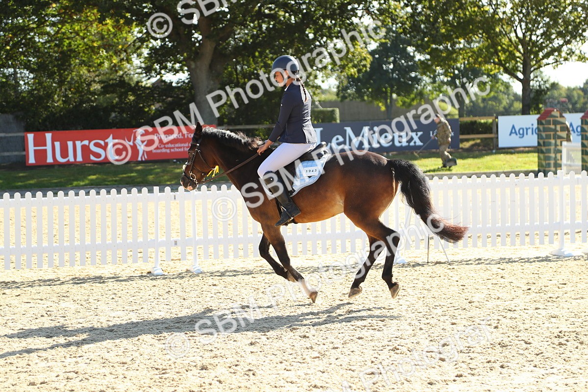 SBM_36082 - J5 - Junior Pony 50cm Championship