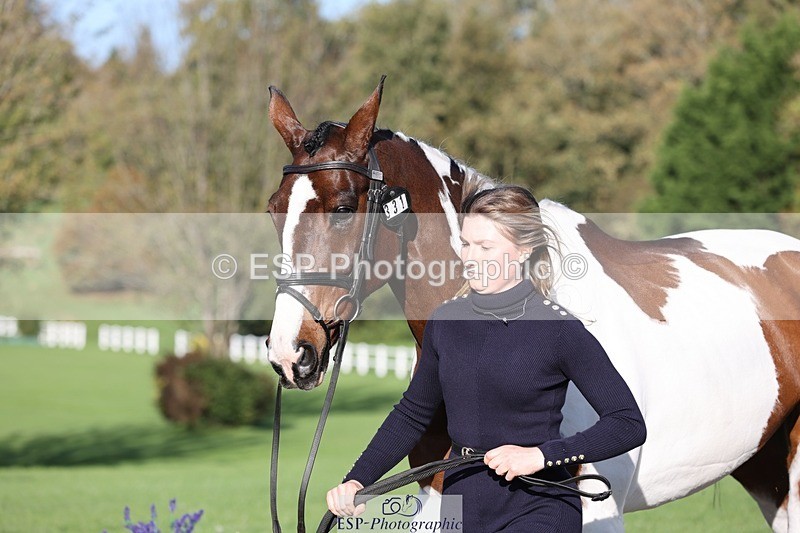 241027-095220-15553 - 331-Amber.Williams-COSMIC.MIKADO