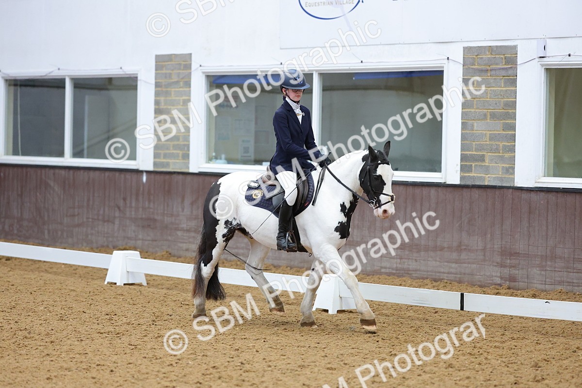 SBM_003071 - Novice