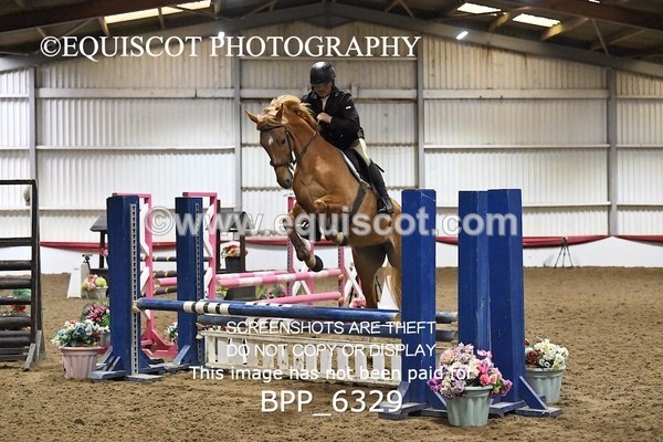 BPP_6329 - CLASS 2  Club/ Unaffiliated 80cms Open