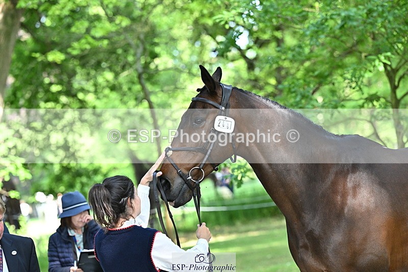 250521A-165010-01367 - C-266-Izzi.Best-BROCKAGH.DOR