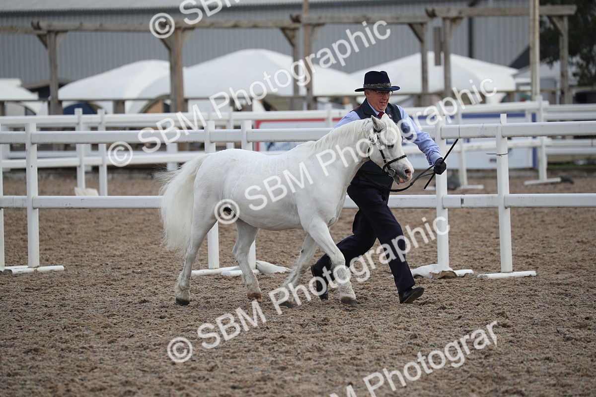 SBM_23110 - Class 605 - 2025 Area - IH Veteran
