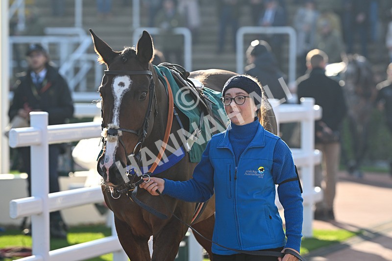 151124-Race 1-Paddock-Fostersisland-7111 - Race 1