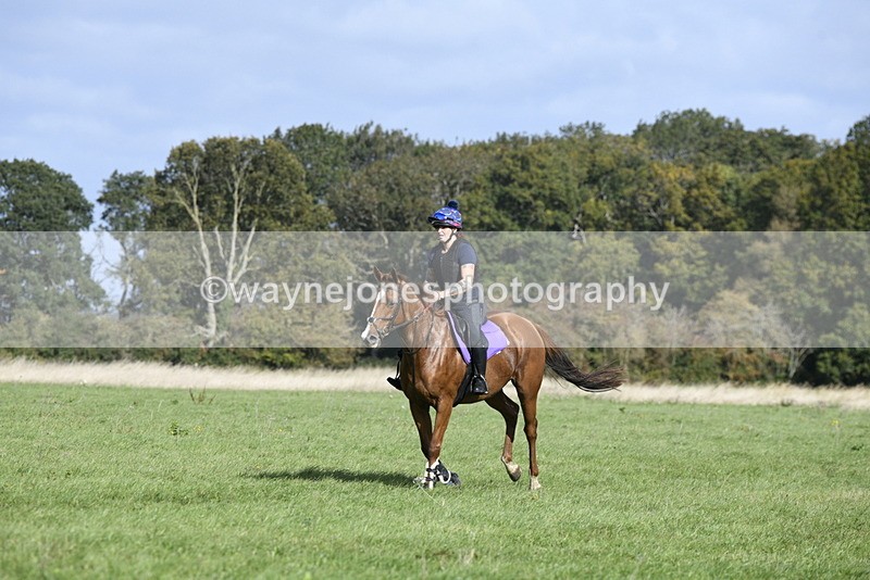 _DSC6219 - Time 11:23 to 12:05