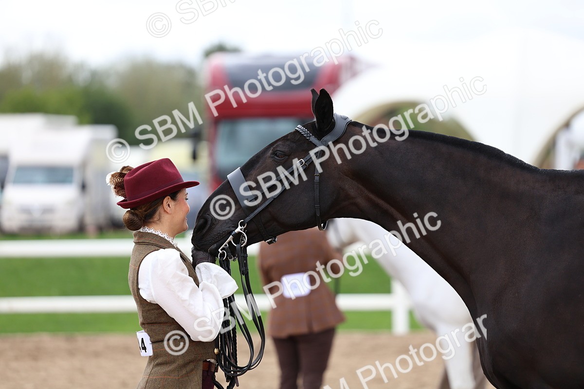 SBM_05107 - Class 27 - IH Competition Horse or Pony