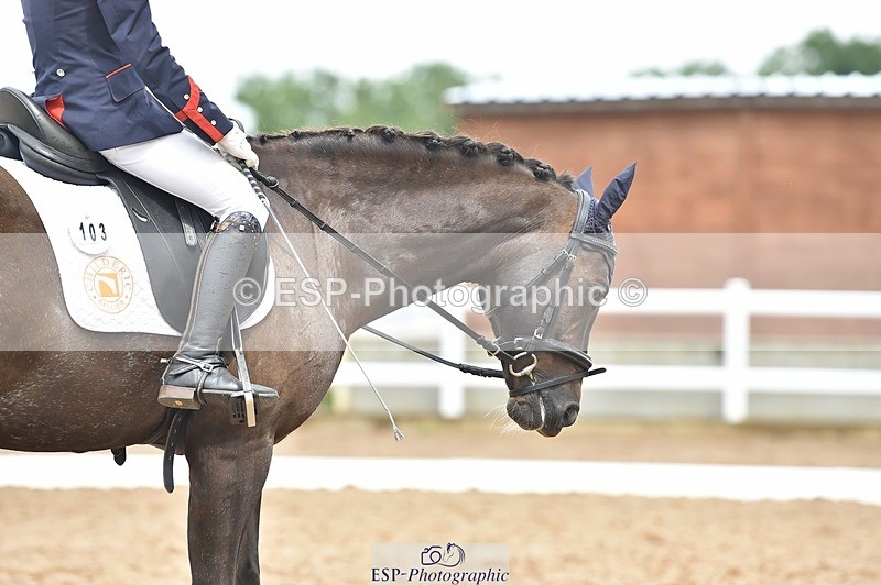 250622-122836-14529 - Quest Cls 31-35 Novice Tests