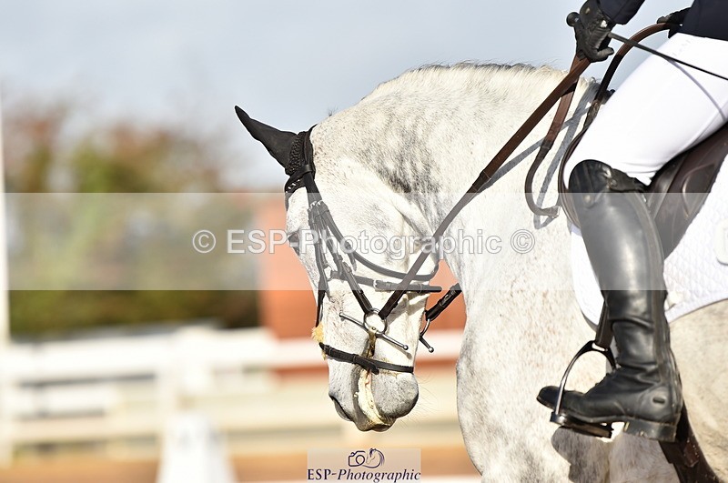 231104A-103910-01409 - Cls 2 Prelim 19