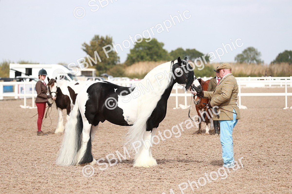 SBM_13933 - Class 209 IH Veteran Pony