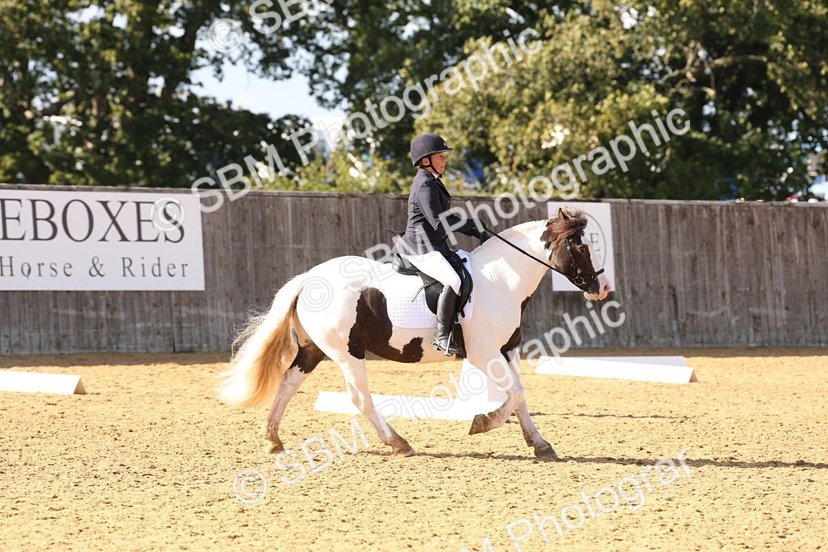 SBM_50440 - D12 - Small Tour Championship prelim 2