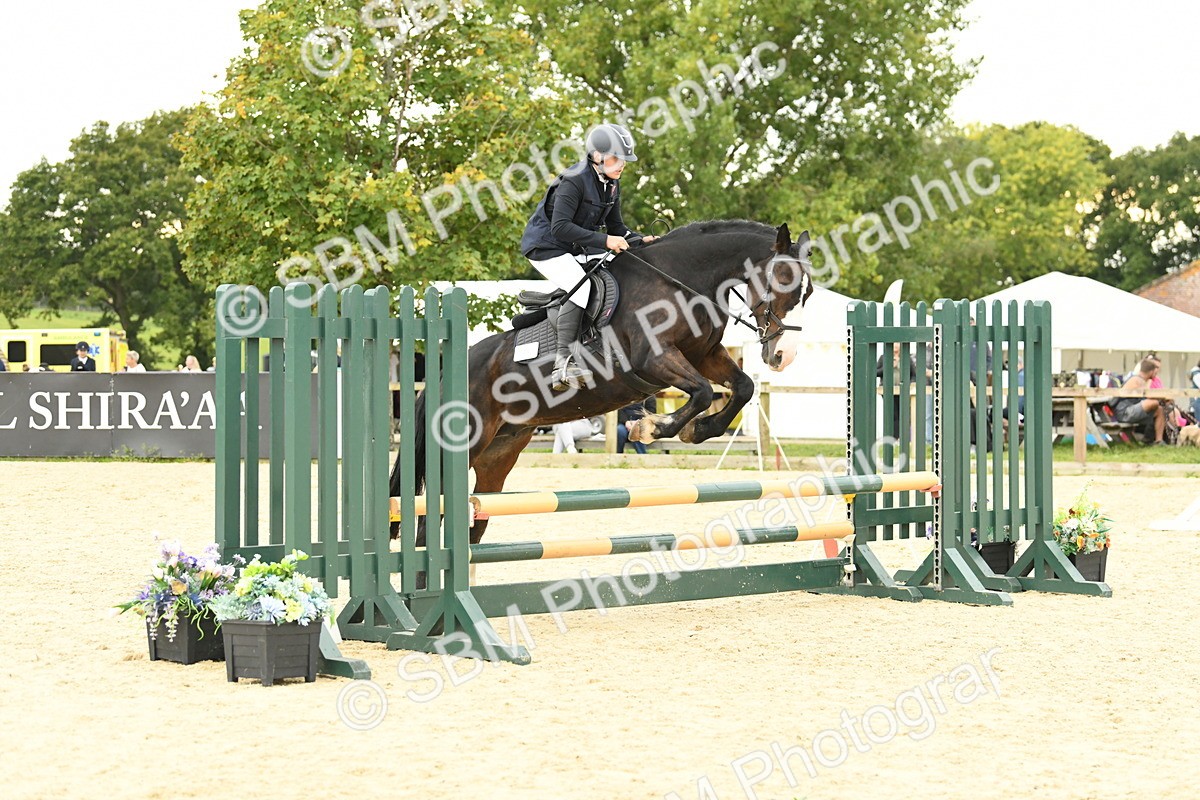 SBM_73206 - J16 - Junior Pony 75cm Championship