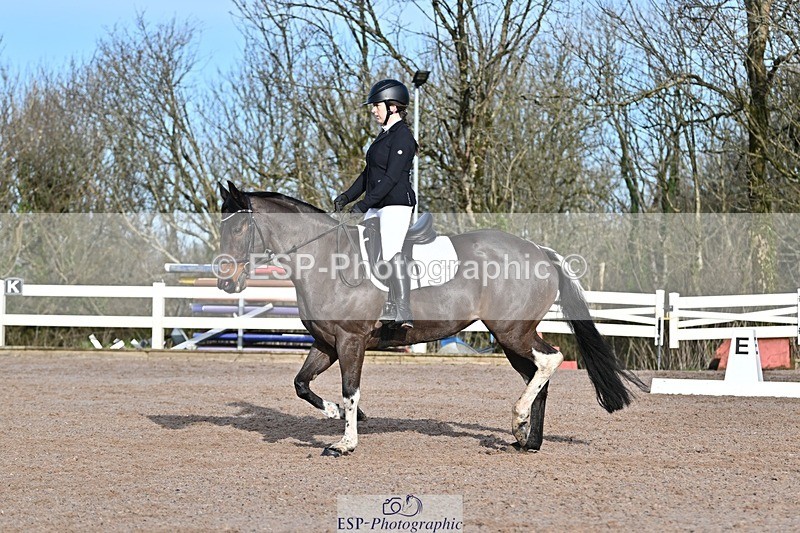250125-104808-00229 - Dressage - CT Class 4 BE95 (80cm)