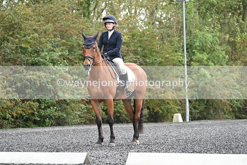 WJ7_3402 - Time 09:54 to 10:54