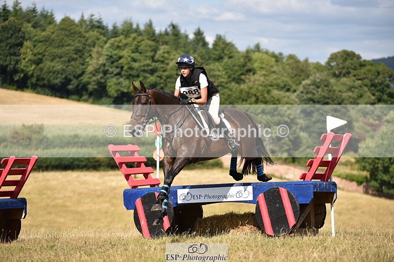 250802A-162318-07723 - F-288-Emilia.Wharton-SIR.LARRY.II