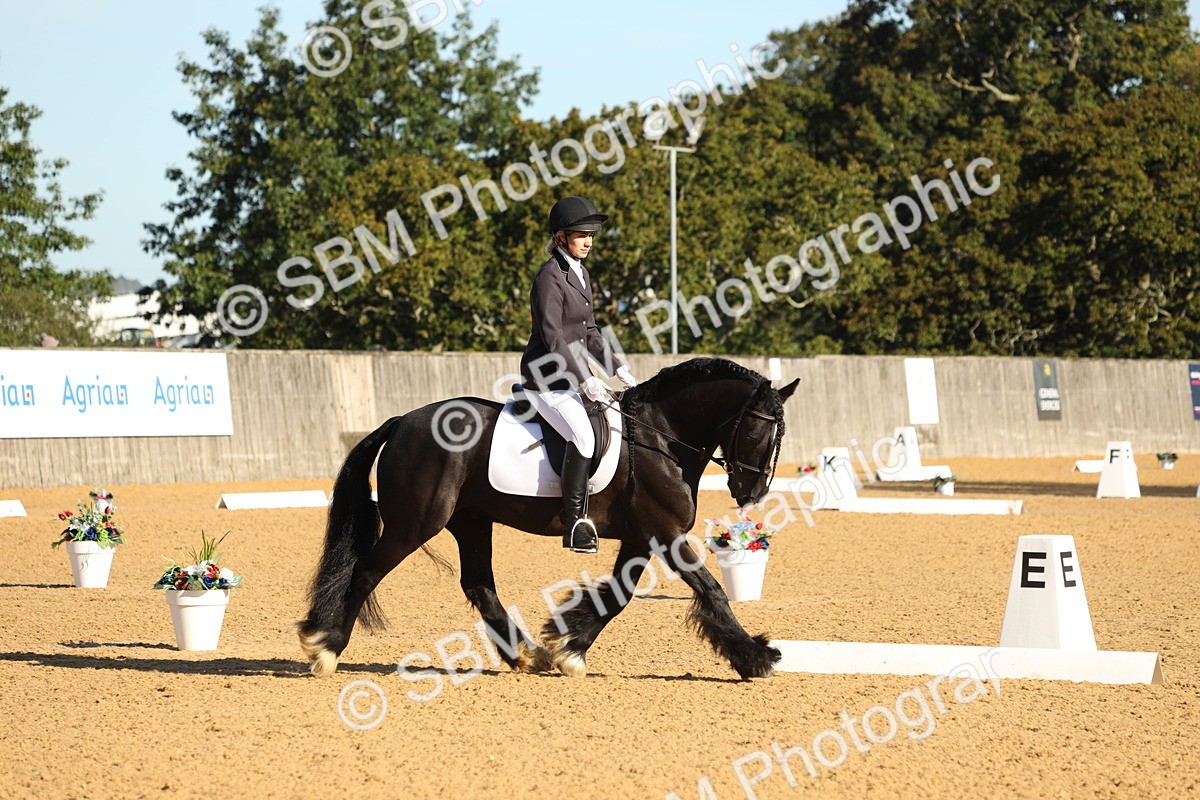 SBM_16419 - D10 - Small Tour Championship - Prelim 2