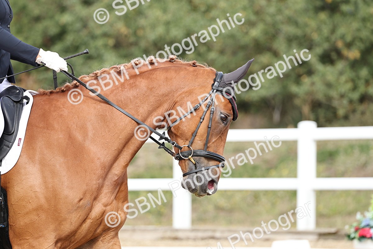 SBM_018349 - Class 16 - Novice 5 - 11.12-12.01