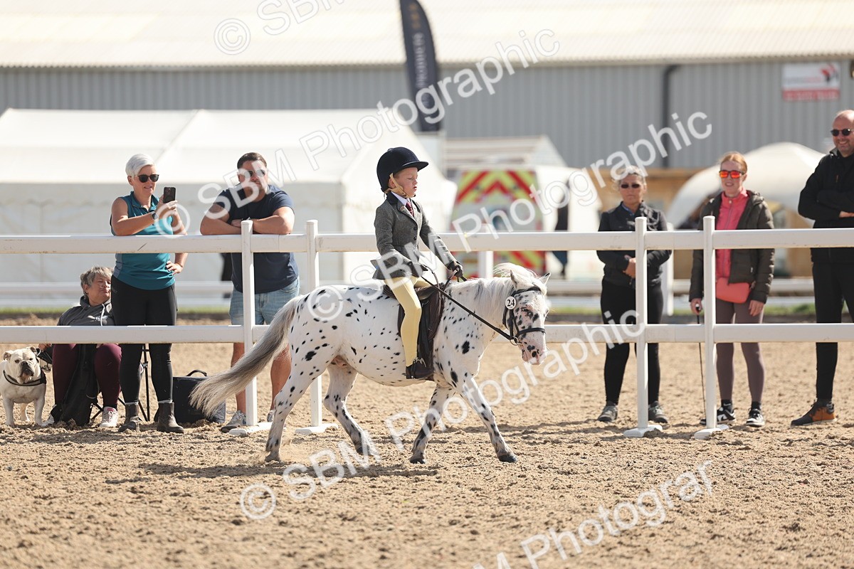 SBM_23128 - Class 806 - Young Rider 10ry and Under