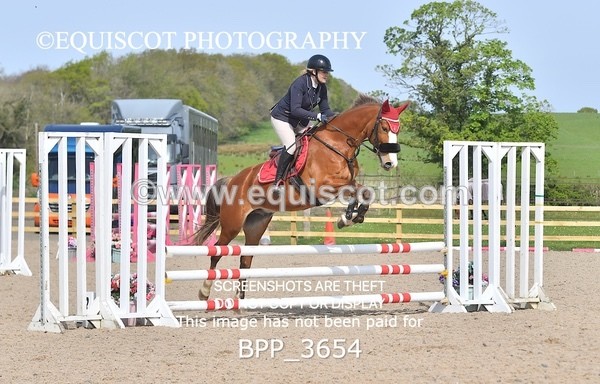 BPP_3654 - CLASS 1 Clear Round Show Jumping