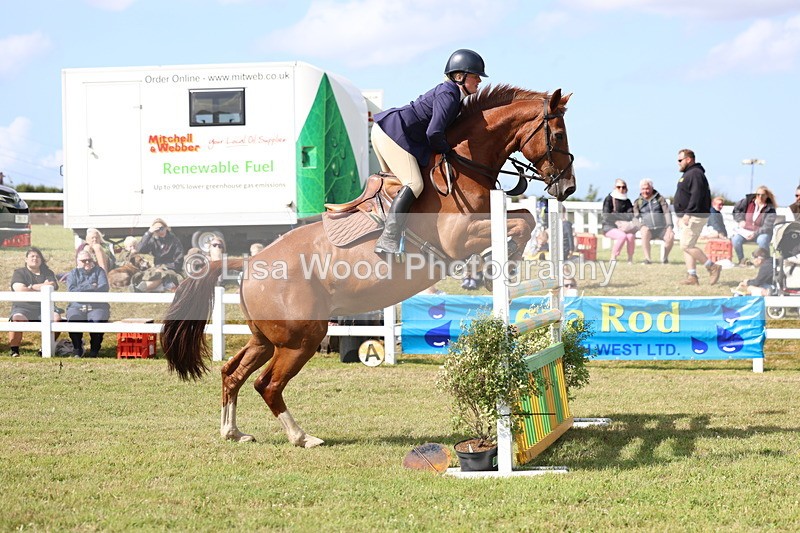 3E7A3496 - Class B: Showjumping Accumulator
