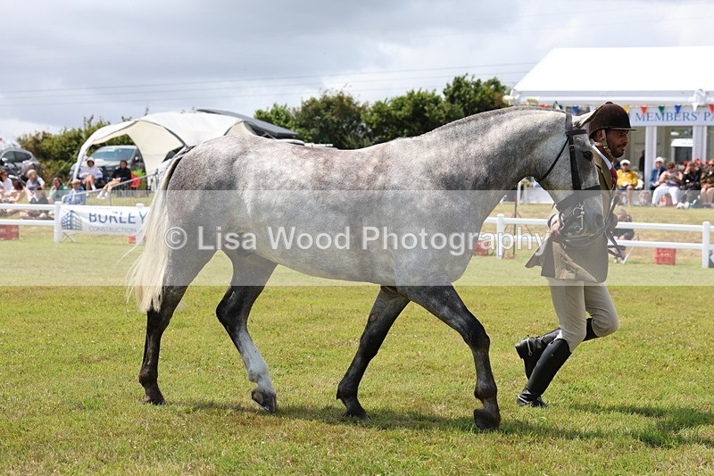 3E7A2200 - Class 10: Open Cob