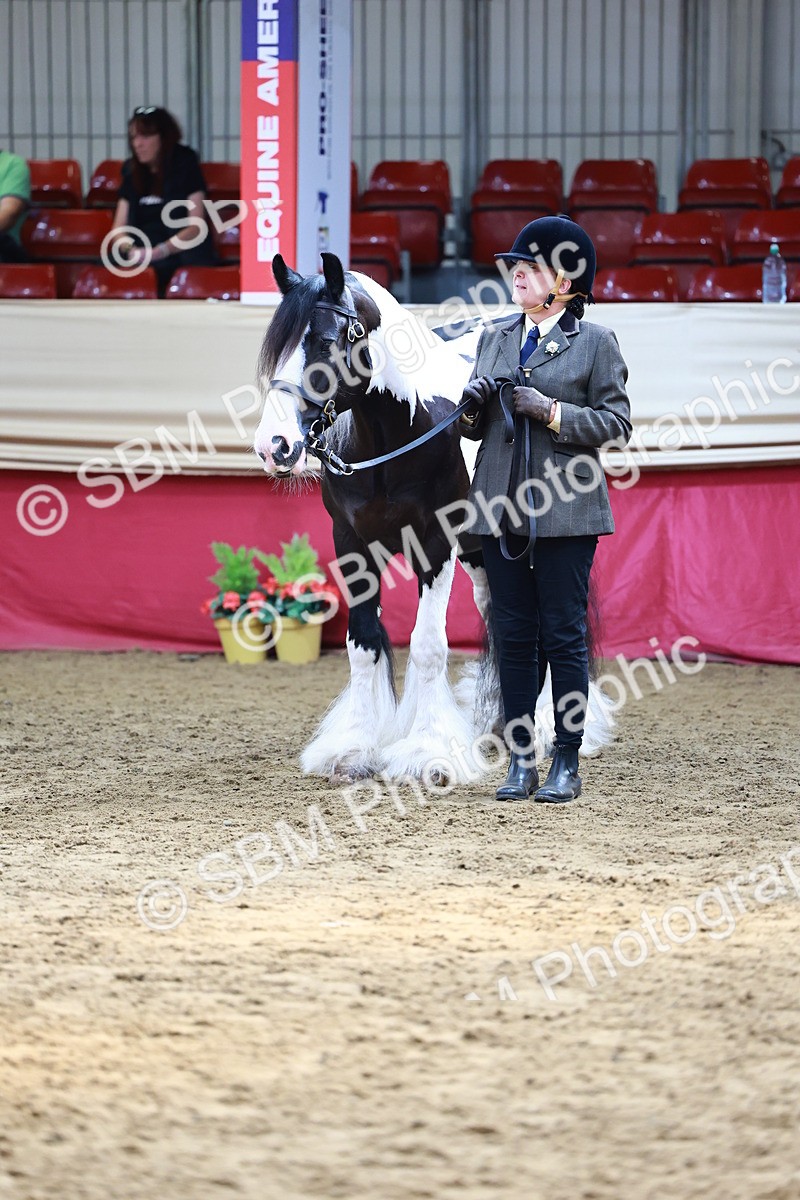 SBM_23120 - Class 903 - Supreme Final - IH Pre Vet