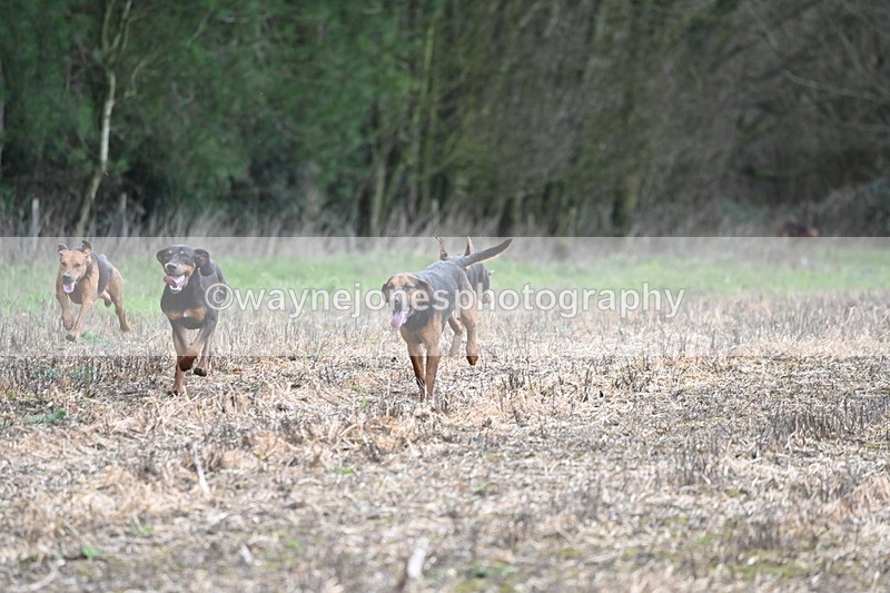 WJ6_9423 - Line Four