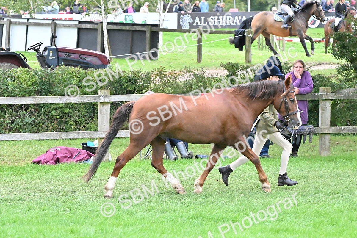 SBM_68586 - S42 - Junior Handler 9-12 Years
