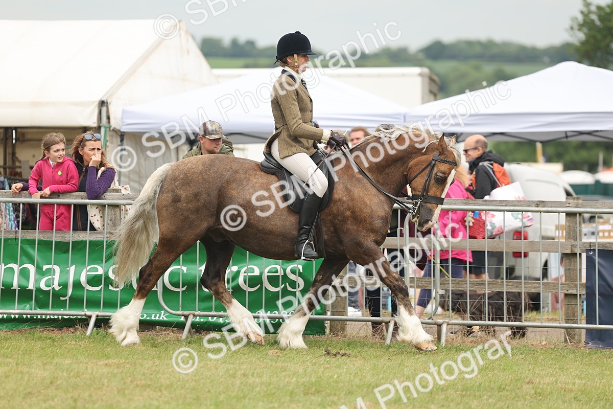 SBM_07182 - Class 76-77 - Ridden M&M Welsh Ponies