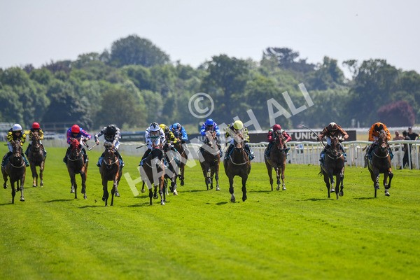 160623-Race 2-Celestial Flight-0271 - Race 2 2.25pm SKF Rous Selling Stakes