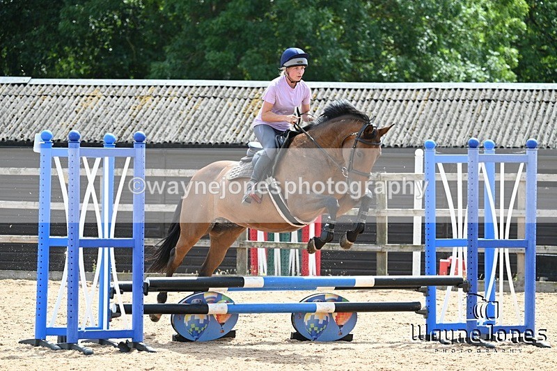 WJ7_6874 - Show Jumping at BCA