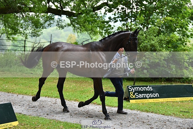 240522-162116-00856 - 201-PRIMITIVE_FUNTIME-Roberto_Scalisi