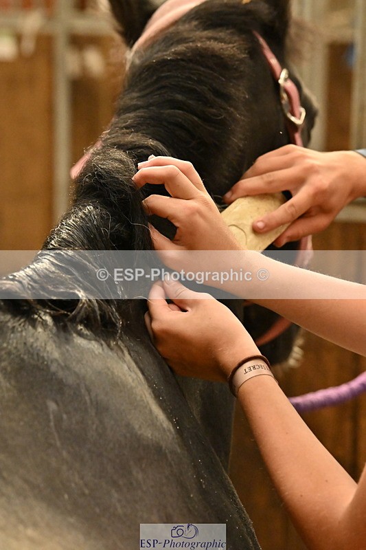 250821B-162449-00508 - Stable Shots and Group Photo