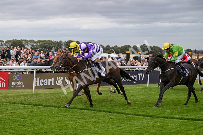 250824-Race 2-Ludos Landing-2959 - Race 2