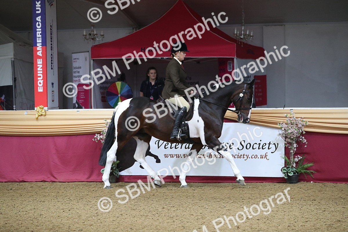SBM_10340 - Class 102 Equitation (best rider) Adult