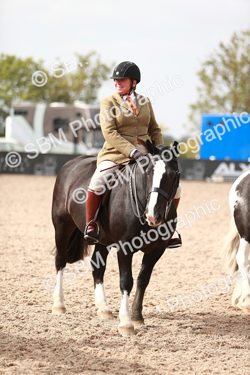 SBM_16813 - Class 214 Ridden Cob