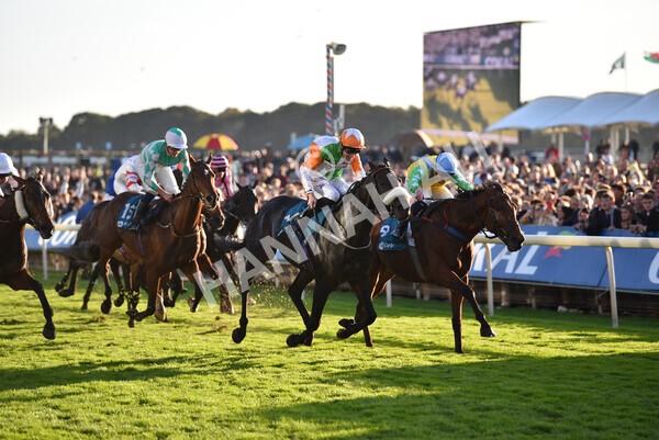 yr08102022r7-40 - Race 7 5.00pm The Coral Gets You Closer To The Action Stakes