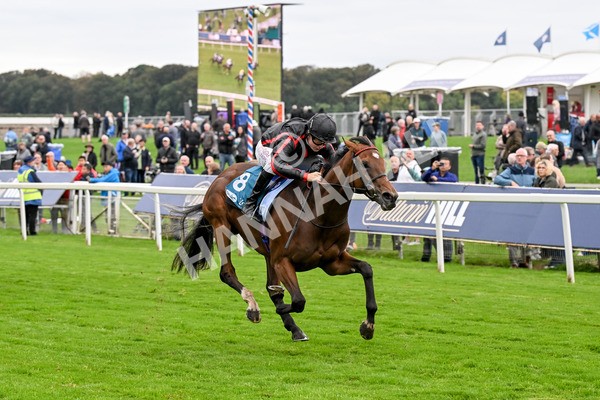 101025-Race 4-Thaluna-0320 - Race 4 William Hill Best Odds Guaranteed EBF Novice Stakes at York